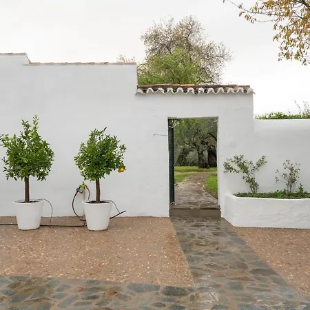 Country house El Azahar *
