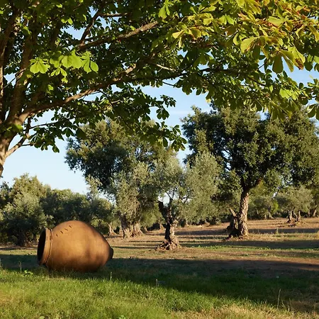 Casa di campagna El Azahar Trujillo