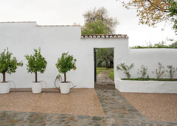 Venkovský dům El Azahar *